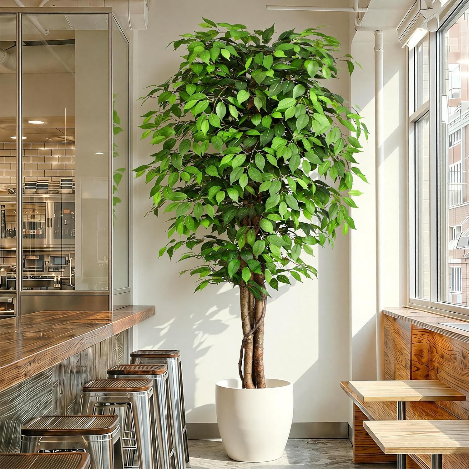 Dracaena Marginata - 실제와 같은 인조 고무나무, 자연스러운 줄기와