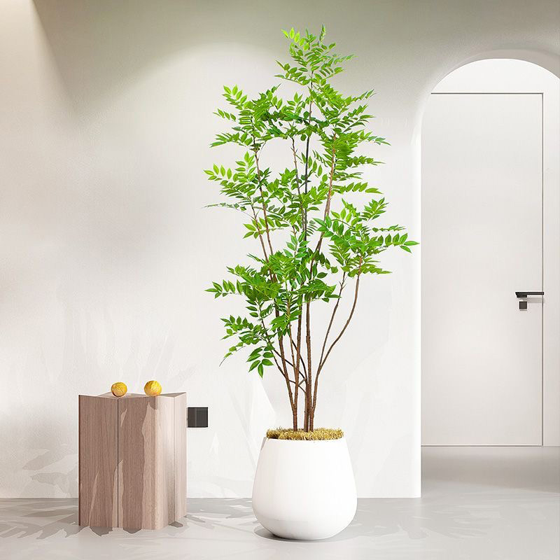 Dracaena Marginata - 27-59in 대형 가짜 식물 인공 Ficus