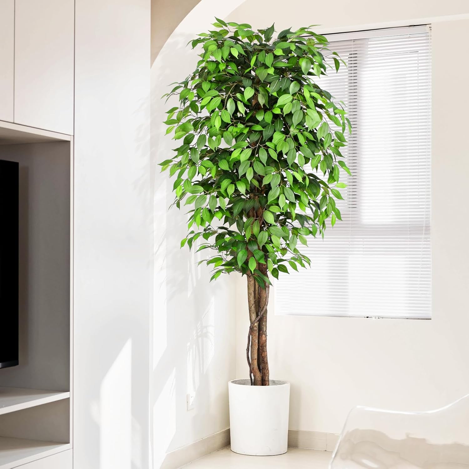 실제와 같은 인조 고무나무, 자연스러운 줄기와 풍성한  - Dracaena Marginata 리뷰 및 가격