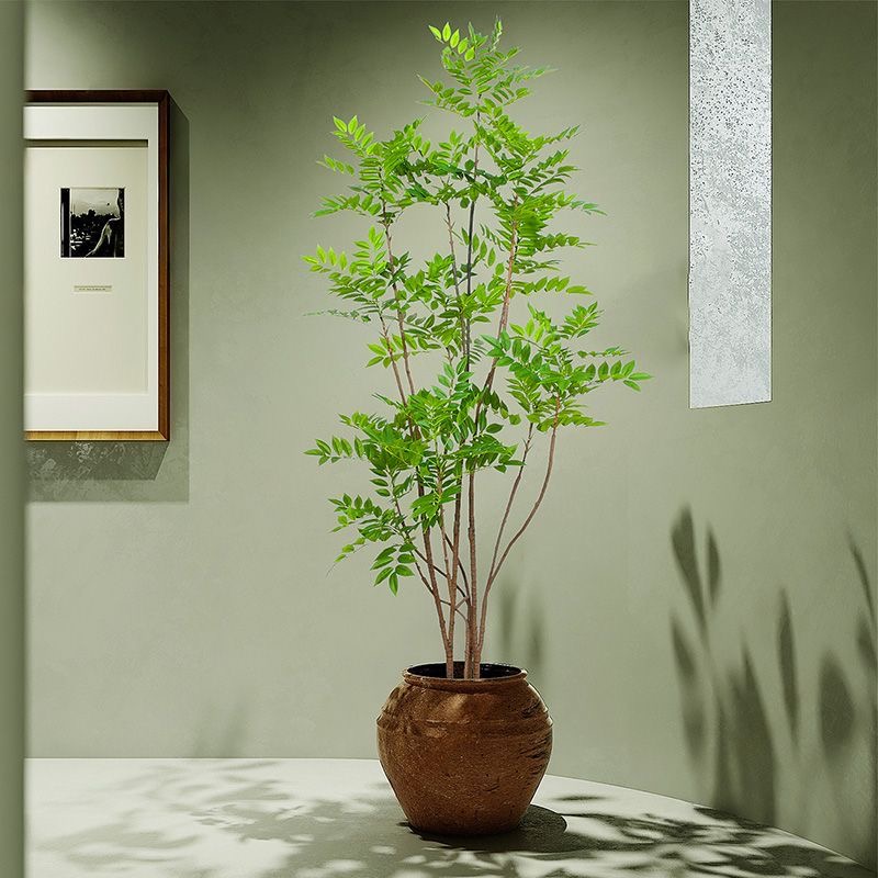 27-59in 대형 가짜 식물 인공 Ficus 나무 가 - Dracaena Marginata 리뷰 및 가격