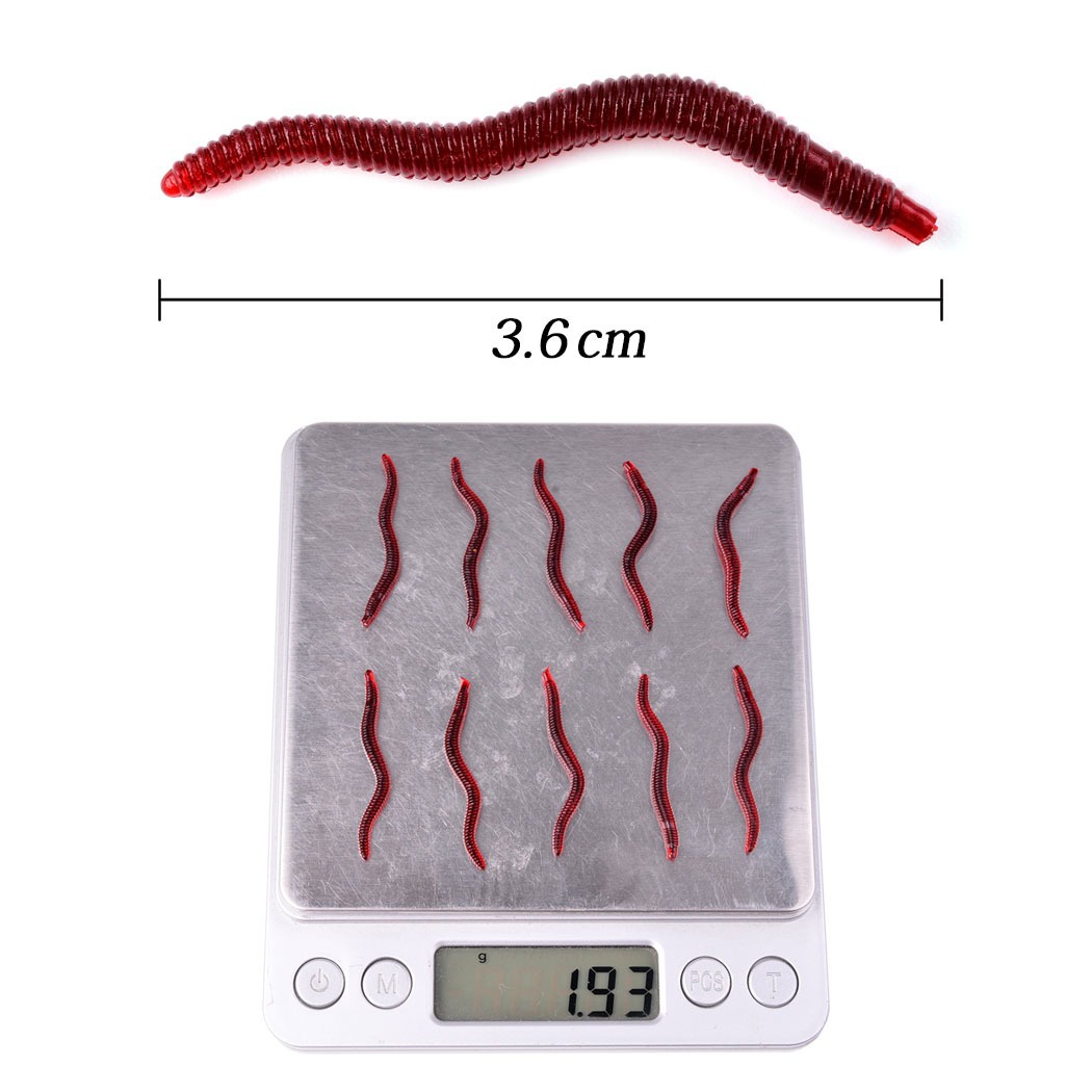 50개입 낚시 루어, 실물 같은 생선 냄새, 빨간색 소 - Aglaonema Red 리뷰 및 가격