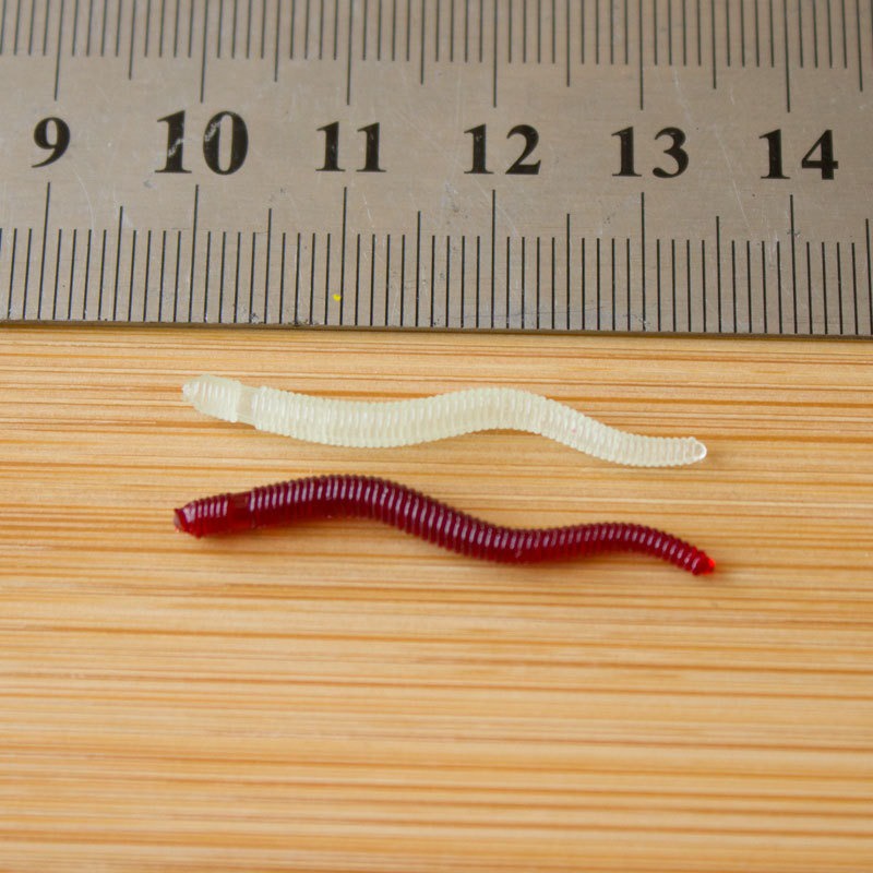 50개입 낚시 루어, 실물 같은 생선 냄새, 빨간색 소 - Aglaonema Red 리뷰 및 가격