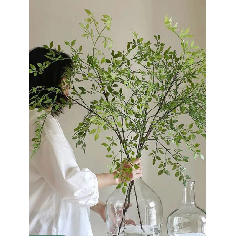인공 싱글 브랜치3인공 녹색 식물, 시뮬레이션된 포르시 - Dracaena Marginata 리뷰 및 가격