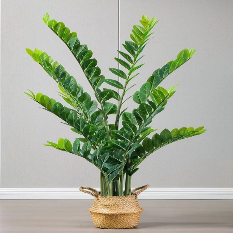 인공 대형 반얀 가지 녹색 식물 가짜 잎 열대 비 숲  - Dracaena Marginata 리뷰 및 가격